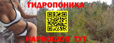 круглые Можга