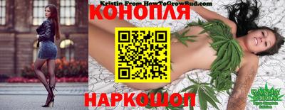 сатива Моздок
